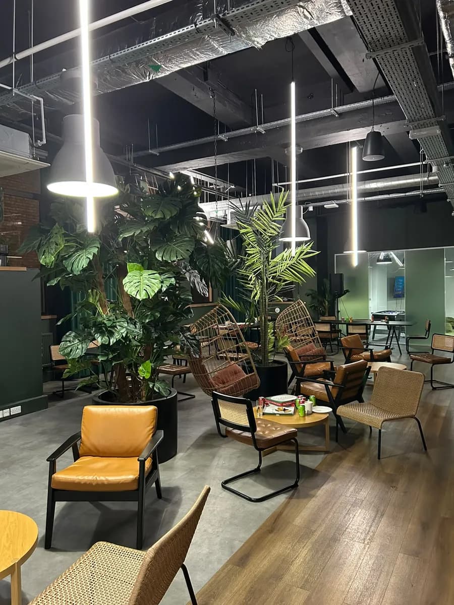 A lounge with dark green walls, large indoor plants, hanging rattan chairs, leather armchairs and a foosball table behind glass